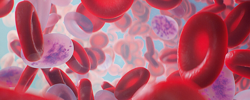 Want to know more about how you can automate your HbA1c testing, minimise the hands-on time and scale the solution to your needs?