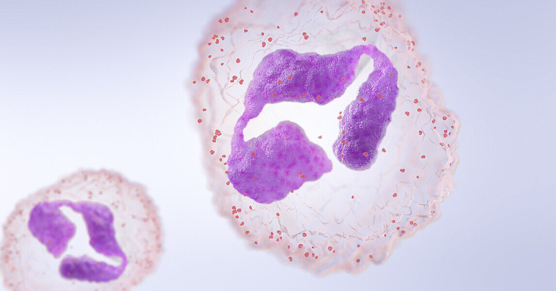 White blood cells (WBC) | Sysmex urinalysis parameter