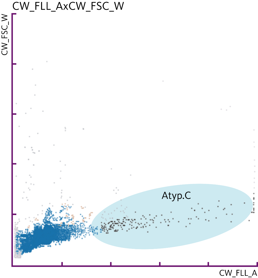 Fig. 2 – Urine particle analysis on the UF-5000: scattergram