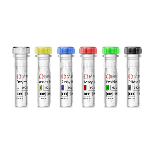 [.SE-sv Sweden (swedish)] MammaTyper Vials 